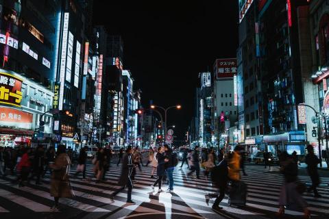 斑馬柯（Zebra K.) - 