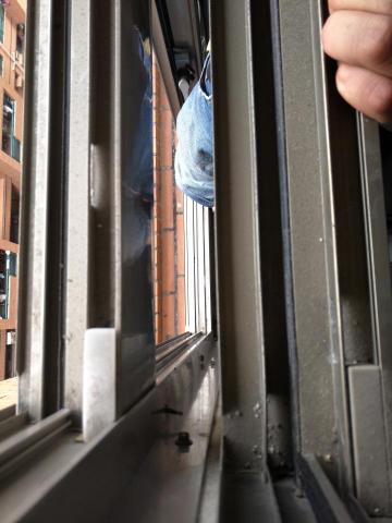 王禹人Terry - 有清洗跟沒清洗的窗框比較