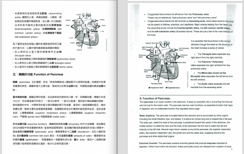 游瑞瑄 - 英翻中範例