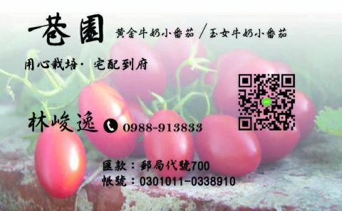 張倩語 -  張倩語 -