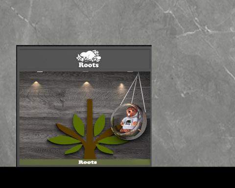 密思林 - Roots 橱窗展示
3ds max