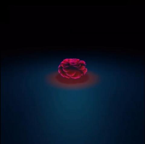 RexDux/三川工作室 - C4D建模+AE動態