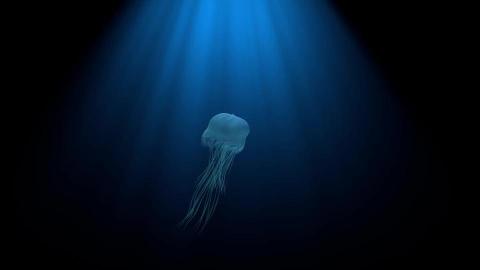 RexDux/三川工作室 - C4D建模