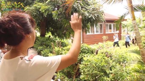 RexDux/三川工作室 - 短片製作