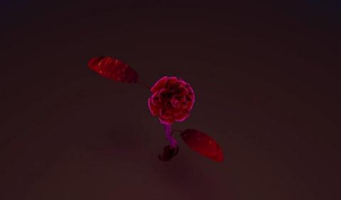 RexDux/三川工作室 - C4D建模