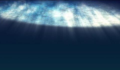 RexDux/三川工作室 - AE動態