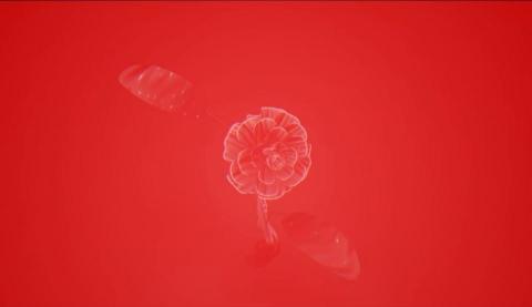 RexDux/三川工作室 - C4D建模+AE動態