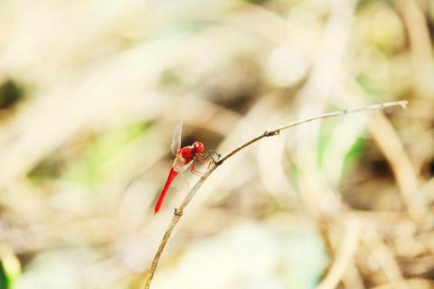 智允國際有限公司 - 