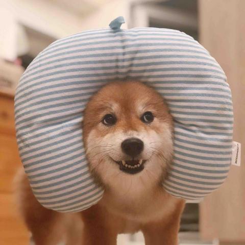 提供服裝服務的專家Hannah Chang