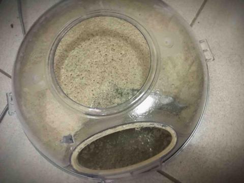 除螨大師 - 除螨成果