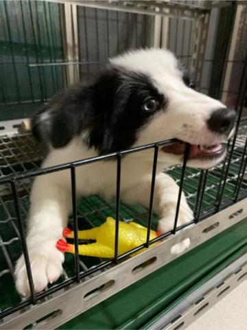 樹林國民運動中心 -  