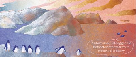 Sophia Ji - CNN 的新聞插圖「南極氣溫創新高」