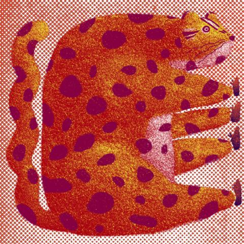 Sophia Ji - 石虎宣傳圖