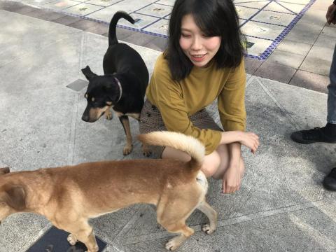 提供北港李服務的專家李世惠