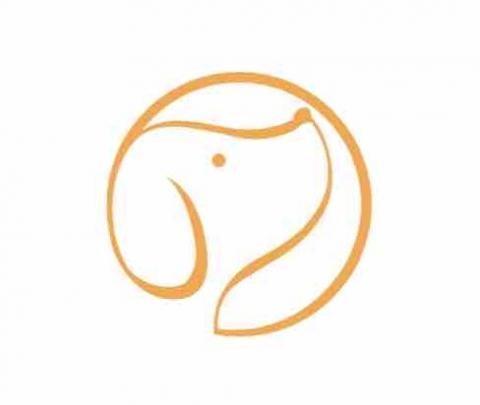 Colette  - LOGO設計