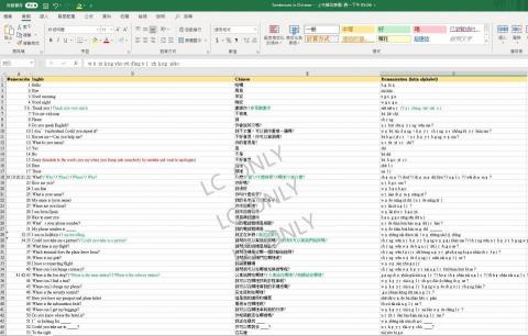 Lee Chi - 國外接案翻譯-英翻中+羅馬拼音
