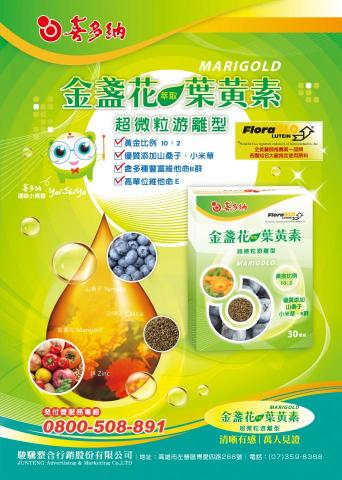 Draw Dream 設計美術工作室 - 喜多納葉黃素商品 形象包裝與海報設計