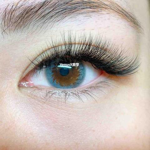 VenusX 除毛/美睫/做臉 - 