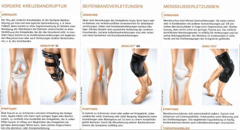 萬國翻譯 - 德國醫療產品簡介翻譯（客戶允許可公開）