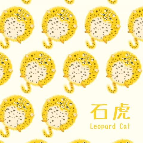 柒伍 - 動物公益插畫-石虎