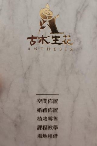 古木生花 花藝婚禮佈置/場租共享空間 - 提供造型氣球的專家 古木生花 花藝婚禮佈置/場租共享空間 - 提供造型氣球的專家
