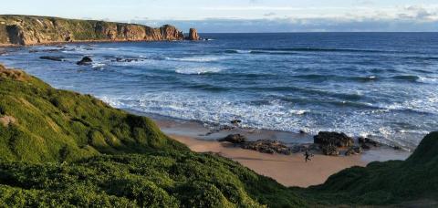 你知道我是一隻馬嗎 - 