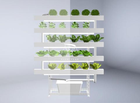 PEEK PEAK - /產品設計/
水耕植栽設備3D模擬圖 PEEK PEAK - /產品設計/
水耕植栽設備3D模擬圖