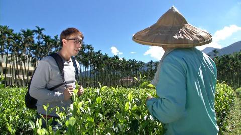 阿米搭傳播有限公司 - 電視節目-企劃錄製