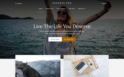 Mennier LLC - 網頁設計範例