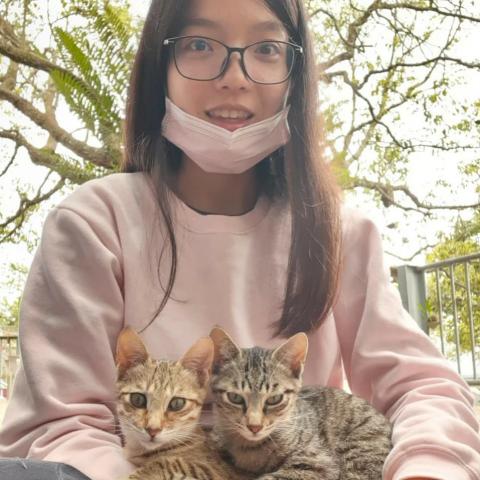 提供數學題服務的專家國立中山大學