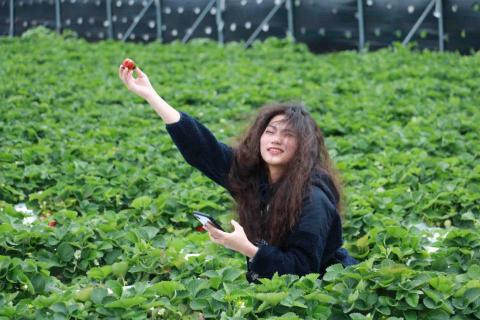 提供吉祥服務的專家邱映嘉