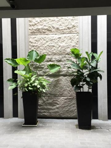 臣平石材工程有限公司 -  臣平石材工程有限公司 -