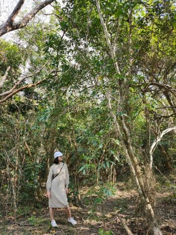 提供Word Excel服務的專家佳瑜