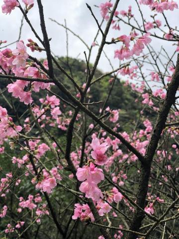 提供冷氣機服務的專家髙小德