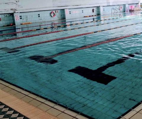 提供裁判服務的專家咖啡教練