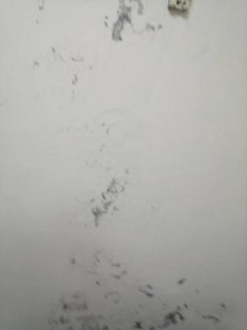 佳益家事家事服務部 - 室內壁癌處理