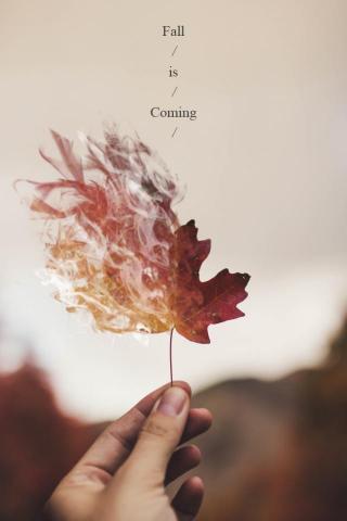 朱珮華 - 秋天來臨