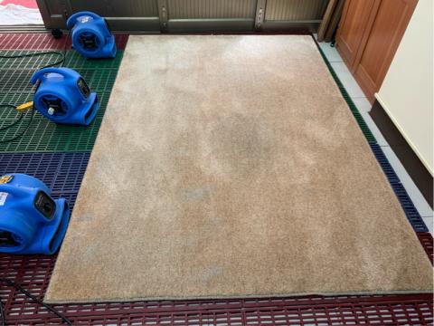 高麗橋有限公司 - 乾燥作業