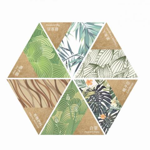 DD - 包裝設計(2)