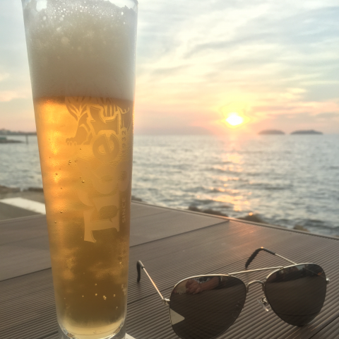 提供mp股價服務的專家MP安全快捷